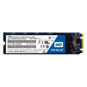WD Blue? SSD 1 To M.2 2280 WDS100T1B0B