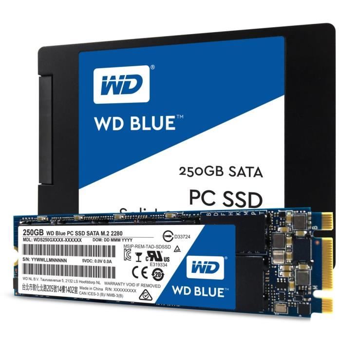 WD Blue™ 250 Go M.2 2280 WDS250G1B0B
