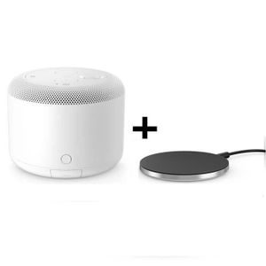 Sony BSP10 Enceinte Blanc+ Chargeur d'induction