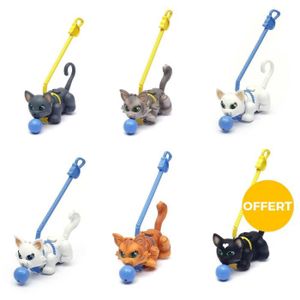 PET PARADE 6 Chats dont 1 OFFERT