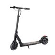 E-ROAD Trottinette Electrique 250 W Noir
