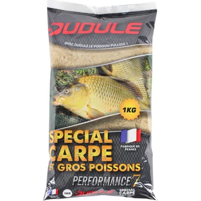 DUDULE Amorce Spécial Carpe 1kg