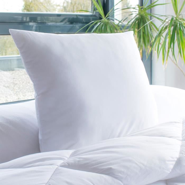 BLEU CALIN Lot de 2 oreillers DOUCEUR - 60 x 60 cm