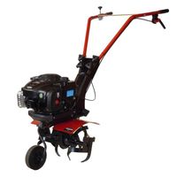 MOTOBINEUSE Motobineuse thermique 125cc BRIGGS & STRATTON 450 MOTOBINEUSE Motobineuse thermique 125cc BRIGGS & STRATTON 450