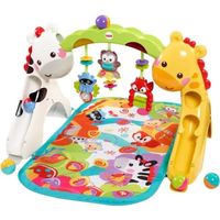 TAPIS ÉVEIL - AIRE BÉBÉ FISHER-PRICE - Tapis d'Eveil évolutif TAPIS ÉVEIL - AIRE BÉBÉ FISHER-PRICE - Tapis d'Eveil évolutif