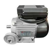 PIÈCE MACHINE OUTIL DOMAC Moteur électrique 3cv/230V avec poulie PIÈCE MACHINE OUTIL DOMAC Moteur électrique 3cv/230V avec poulie