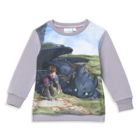 SWEATSHIRT DRAGONS 3 - Sweat-shirt - Manches longues - Gris - SWEATSHIRT DRAGONS 3 - Sweat-shirt - Manches longues - Gris -