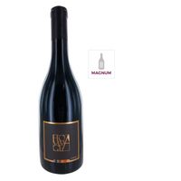 VIN ROUGE Magnum Hommage 2016 Côtes du Roussillon Villages T VIN ROUGE Magnum Hommage 2016 Côtes du Roussillon Villages T