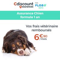 ASSURANCES Assurance Chien 1 an ASSURANCES Assurance Chien 1 an