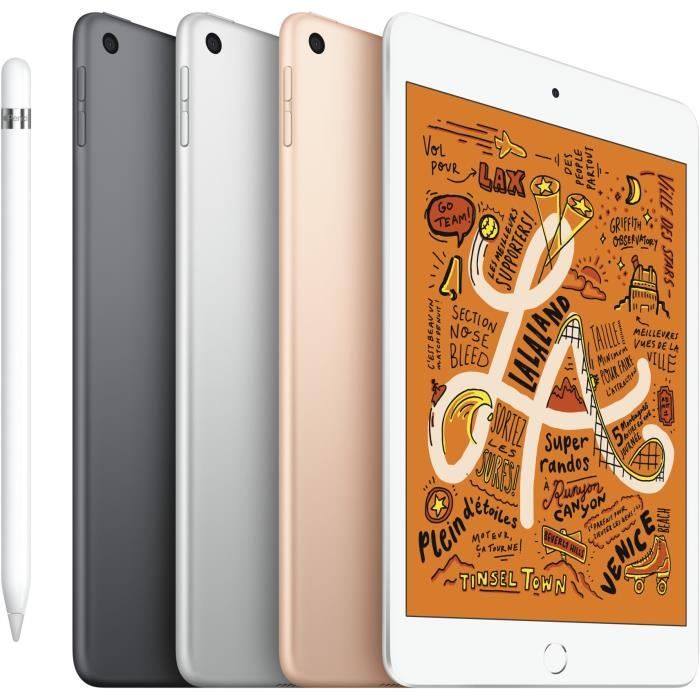 iPad mini tablette - 7,9" 256Go WiFi - Gris2