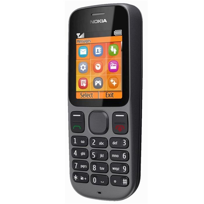 NOKIA 100 Gris   Achat / Vente TELEPHONE PORTABLE NOKIA 100 Gris