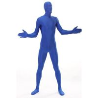 costume-bleu-morphsuit.jpg