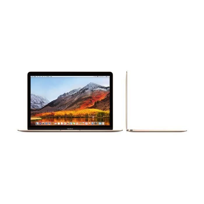  MacBook MNYK2FN/A - 12 pouces Rétina - Intel1